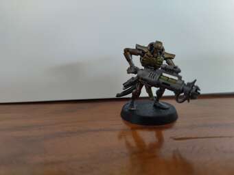 Vignette IMG_20250125_153341.jpg 