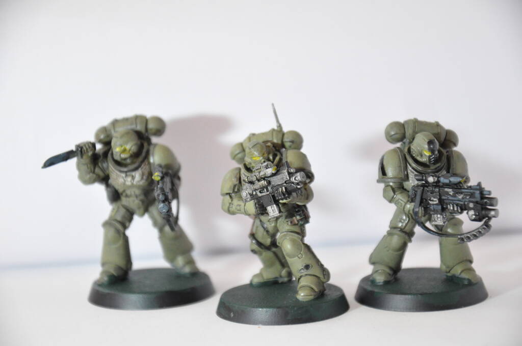 Diapositive DSC_2158.JPG 