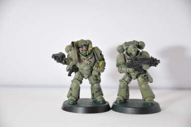 Vignette DSC_2163.JPG 