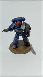 Vignette InShot_1770764580915.jpg 