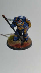 Vignette InShot_1770764630967.jpg 