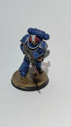 Vignette InShot_1770764737151.jpg 