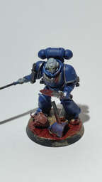 Vignette InShot_1770764827607.jpg 