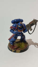 Vignette InShot_1770764843873.jpg 