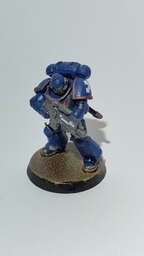 Vignette InShot_1770764919351.jpg 